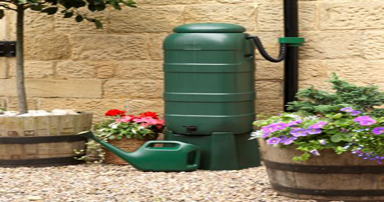 tuintips-kraaij-regenton-mei-384-x-202