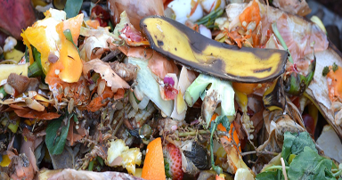 tuintips-kraaij-tuinafval-compost-september-384-x-202